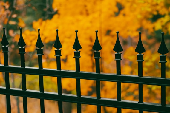 Fencing